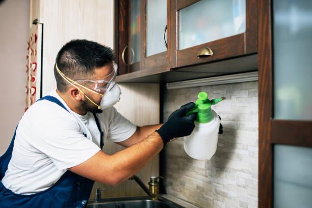 Best Residential Pest Control  in Celoron, NY