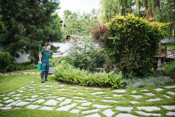 Best Exterminator Services  in Celoron, NY